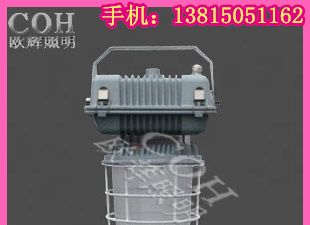供应NFC9135/NFC9133 防水防尘防震防眩泛光灯