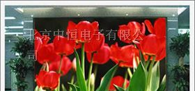 单元板	led电子屏
