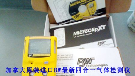 供应上海、武汉加拿大BW四合一气体检测仪