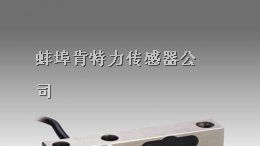 SBI-250 Mettler Toledo SBI剪切梁传感器 质保一年