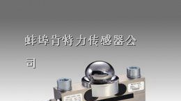Mettler SBD-25双端梁称重传感器供应