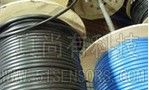 供应ZLS-Px白光测速 测速测长传感器 测速传感器 测长传感器
