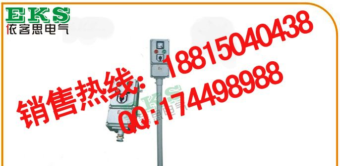 LBZ10S-A2D2B1G防爆操作柱(挂式)，LBZ10S-A2D2B1L防爆按钮操作柱_ ,按钮控制箱，带表操作柱，