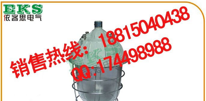 防爆灯具类,BCD-250隔爆型防爆灯ⅡB,BCD-250 ,BCD-150 ,BCD-200 ,
