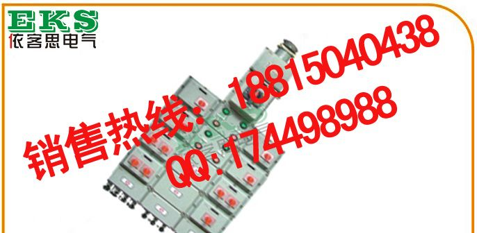 BXX51-2/100G 防爆动力检修箱 生产厂家，BXX51-4/100D，乐清防爆箱，非标防爆箱定制