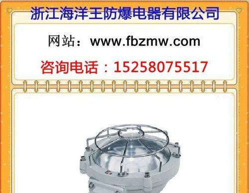 BXL-100防爆吸顶灯