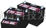 青岛大力神UPS全免维护系列蓄电池17AH-100AH