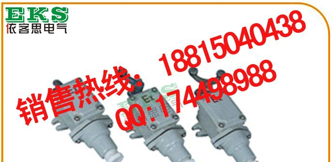 BLX51-D防爆行程开关(单摇臂）,BLX51-S防爆行程开关(双摇臂）BLX51-Z直动式防爆行程开关，
