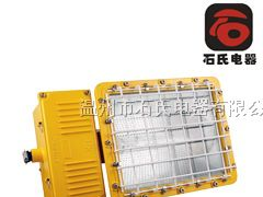 供应防爆灯具,LED防爆泛光灯,防爆泛光灯