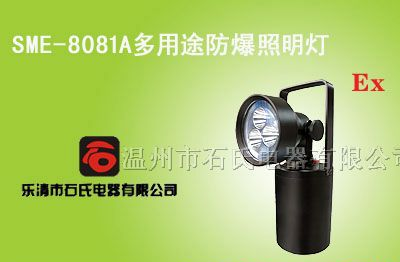 供应手提式防爆灯,便携式防爆工作灯