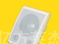 供应室内壁挂音箱