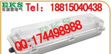 BYS51-2×40W防爆防腐全塑荧光灯,防爆应急荧光灯，应急防爆灯，IIC级防爆灯，筒式防爆荧光灯，