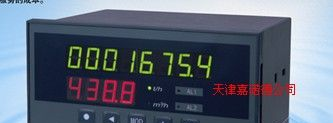 供应XSJ流量积算仪