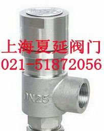 供应台湾SNW阀门厂-弹簧微启式螺纹安全阀A21W