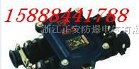 供应矿用隔爆接线盒，BHD2隔爆型电缆接线盒，电路用