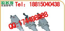 BZX51-5D防爆行程开关（BZX51-5D柱塞式，BZX51-5L滚轮柱塞式）BZX51-5N挠性触头，