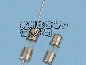玻封保险管引线式保险丝管节能灯保险丝管公司推荐胜名电子