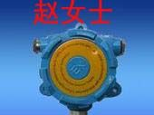 供应一氧化碳泄漏报警器（报警探头）{}