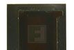供应MELEXIS Avocet - 宽动态范围 CMOS 图像传感器  MLX75411