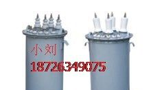 供应【JSJW-6，JSJW-10电压互感器】质优价廉
