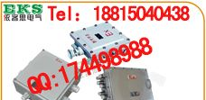 BXJ51-20/4防爆接线箱，不锈钢304材质
