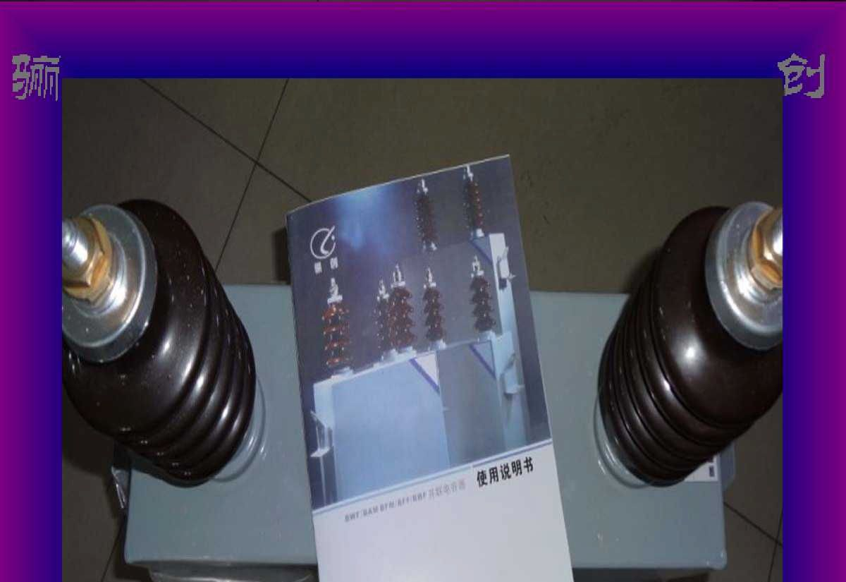 高压并联电容器 电容器 BFM6.3-200-1W