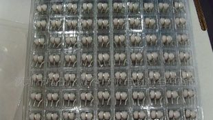 陶瓷气体放电管3R800-8