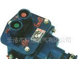 BZA1-5/127-1.2.3系列矿用隔爆型控制按钮 双按钮开关