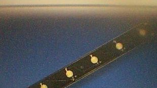 6×1W  LED模组，发光二极管LED