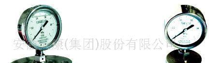 YMN系列隔膜式耐振压力表
