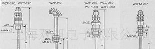 WZC-200双股引出S线，铜热电阻