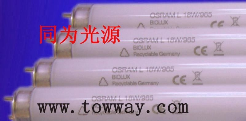 供应	OSRAM  18w/965  D65 进口日光灯管