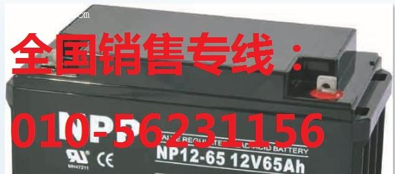 供应理士蓄电池直流屏专用价格，eps理士电池使用