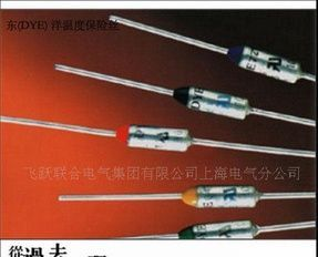 温度保险丝 DYE温度保险丝(图)