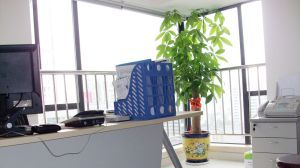 厂家直销整流二极管6A10，直插型二极管