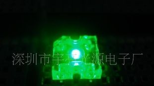 长期现货供应平头食人鱼绿光