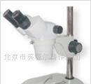 XTS20连续变倍体视显微镜
