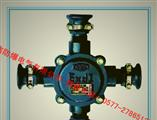 说明BHD2-40/380V-2T/3T/4T矿用电缆接线盒 批发