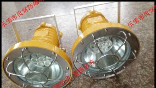 供应DGY20/24L矿用隔爆型LED投光灯