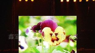 PH5户内全彩LED-TV显示屏