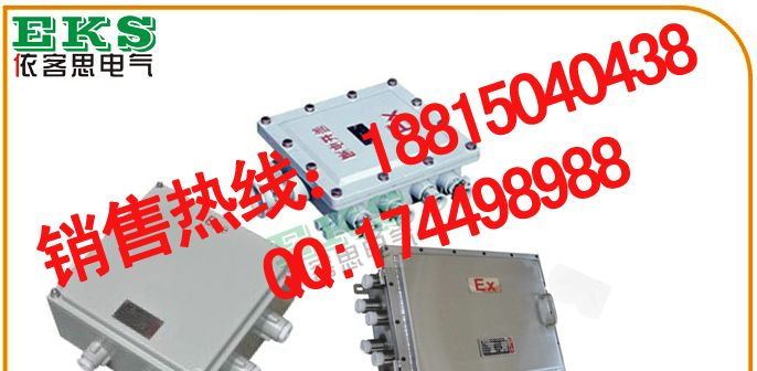 BXJ51防爆接线箱,BXJ51-10-36/4,BXJ51-10-36B，铝合金接线箱，仪表分线箱