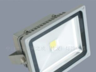 厂家供应集成LED暖白50W泛光灯