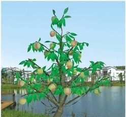 LED树灯、桃子树