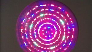 5瓦蝶形LED节能灯 白发红蓝绿光装饰补光多彩灯