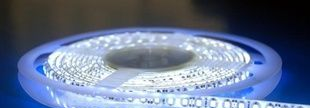 3528 120白灯 LED灯条