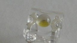 厂家直销3MM食人鱼白光LED/价格优势