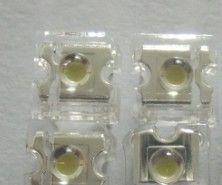 食人鱼F3白光