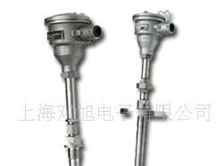WREK-1313 化工专用热电偶