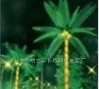 LED椰树灯、户外灯具、树灯