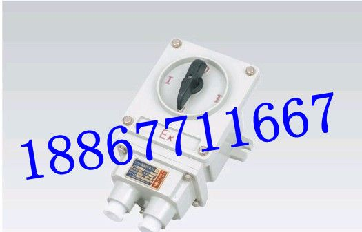 供应BHZ51-60/3防爆转换开关 BHZ51转换开关 系列齐全